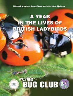 Front cover of the the new publication, A year in the lives of British ladybirds, depicting a group of seven spot ladybirds